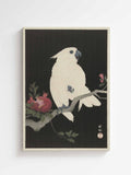 Ohara Koson - Cockatoo and pomegranate printed on high quality premium canvas Japanese art