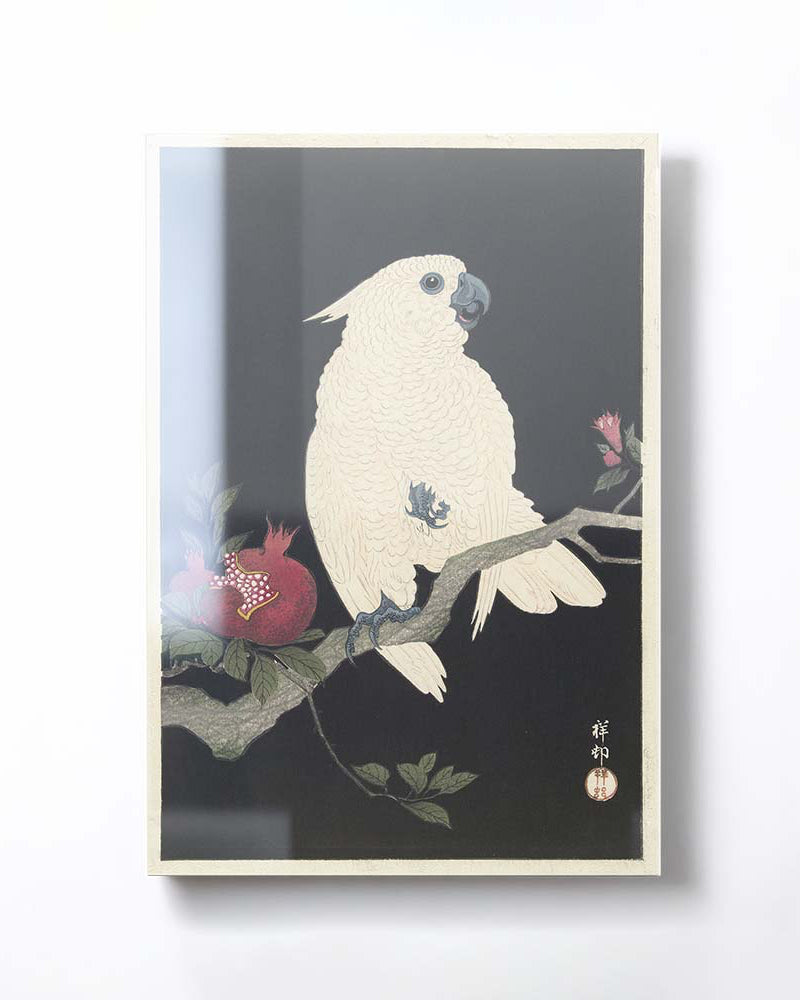 Ohara Koson - Cockatoo and pomegranate