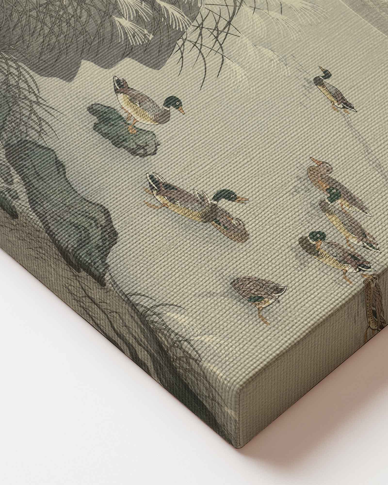 Ohara Koson - Ducks in the Water Japanese art printed on high quality premium canvas wall art close up of material