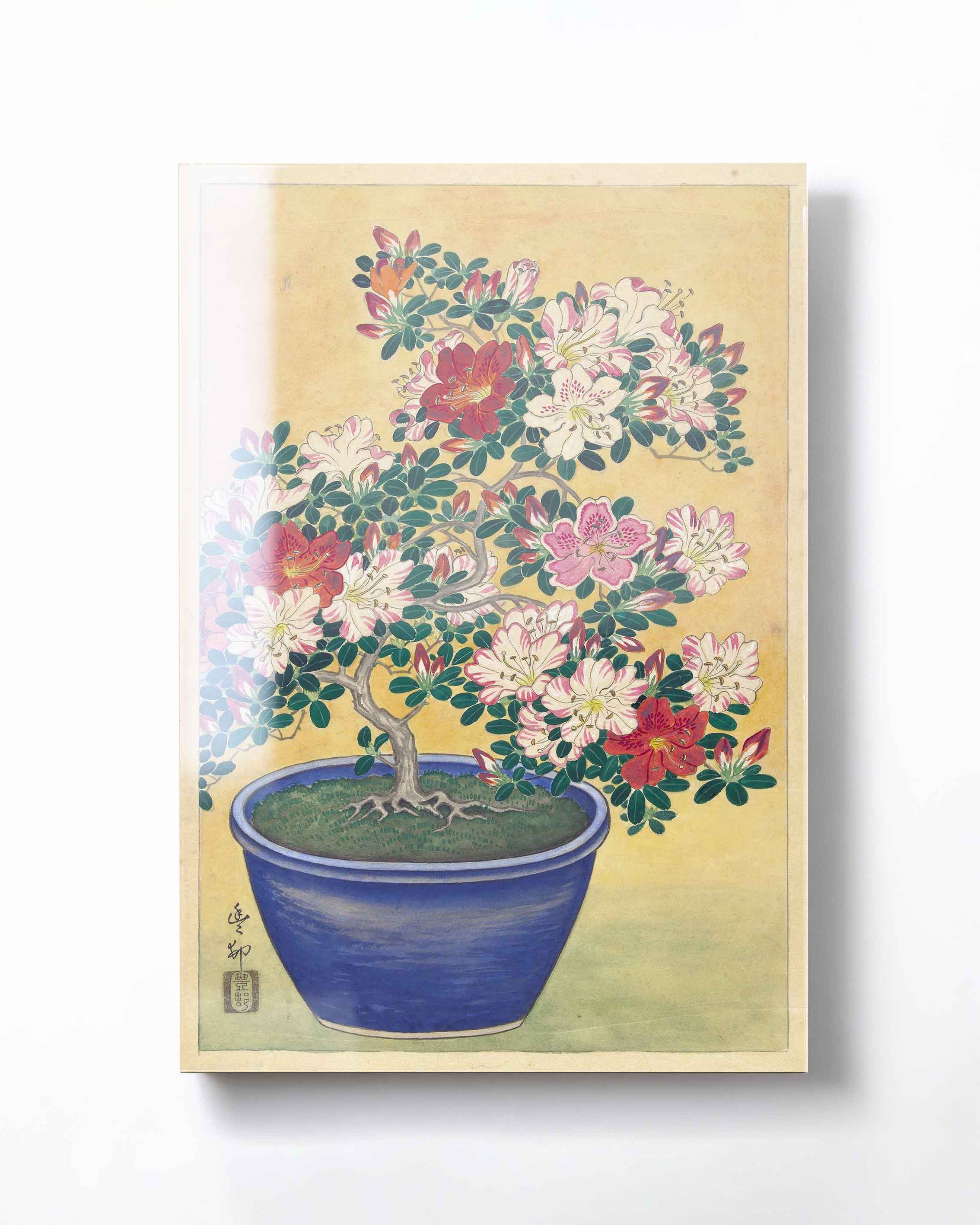 Ohara Koson - Flowering Azalea in Blue Pot