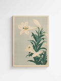 Ohara Koson - Lilies Japanese art printed on high quality premium canvas