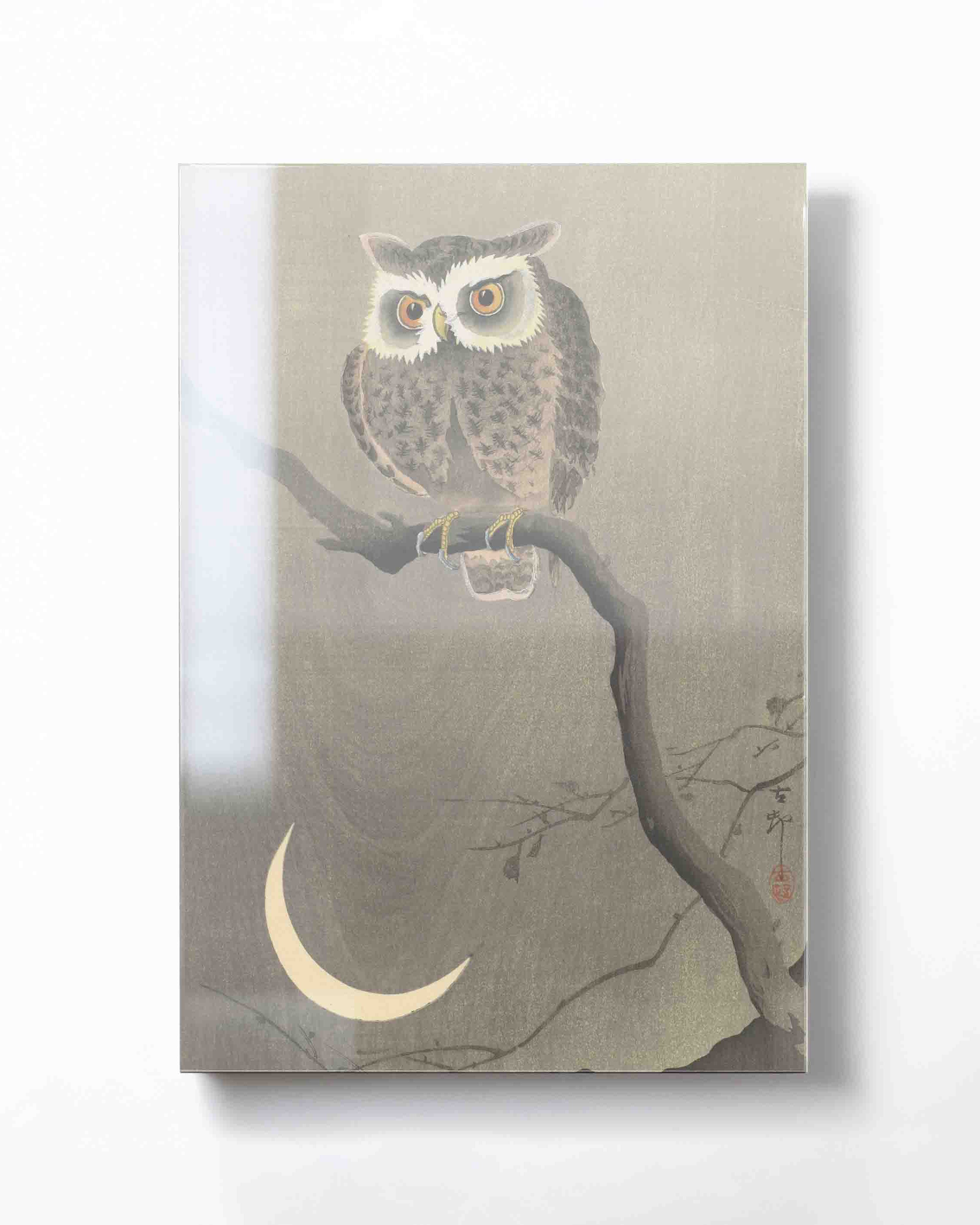 Ohara Koson - Long-eared owl on bare tree branch